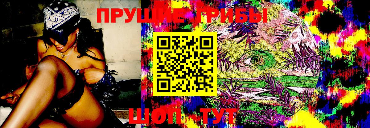 Галлюциногенные грибы GOLDEN TEACHER  Вход с VPN  Реж 